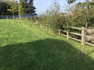 Click for all images